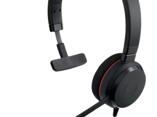 Jabra Evolve 20