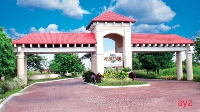 lot-for-sale-vineyard-dasmarinas-big-0