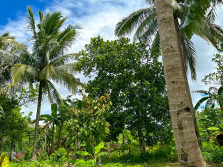 HULUGAN LUPA -Vacant lot FOR SALE