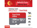 256-gig-micro-mini-memory-card-small-0