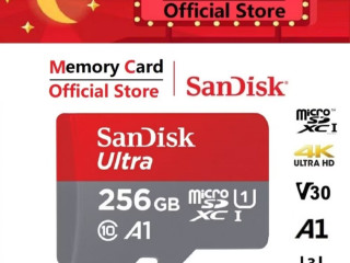 256 gig micro mini memory card