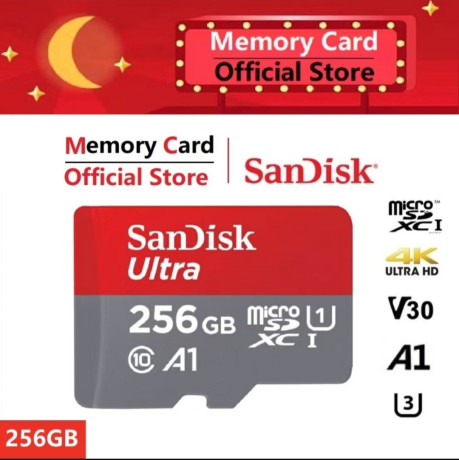 256-gig-micro-mini-memory-card-big-0