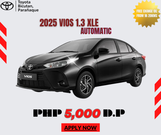 toyota-vios-big-0