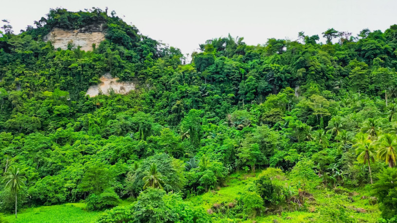 palasanon-large-plot-with-old-house-big-0