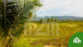 installment-lot-for-sale-in-calangcang-badian-cebu-small-4