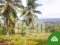 installment-lot-for-sale-in-calangcang-badian-cebu-small-2